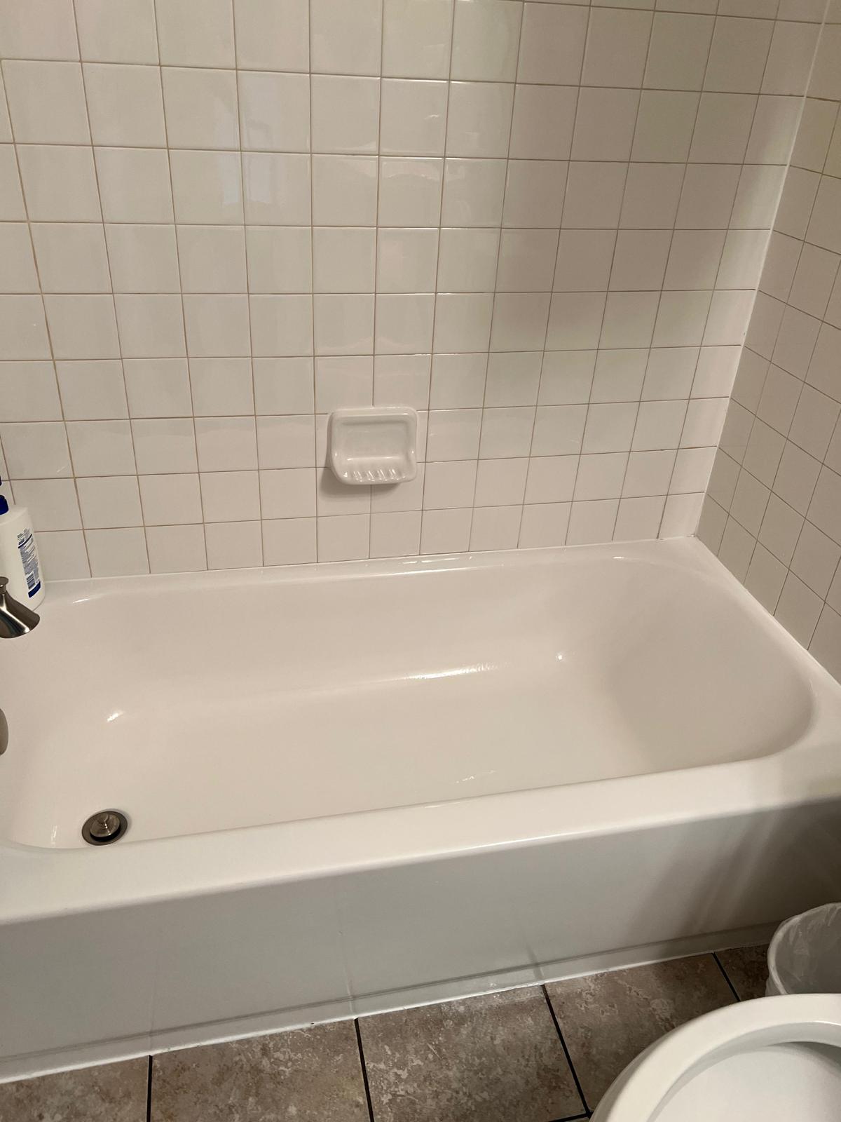 Veronica Cleaning Forever Image